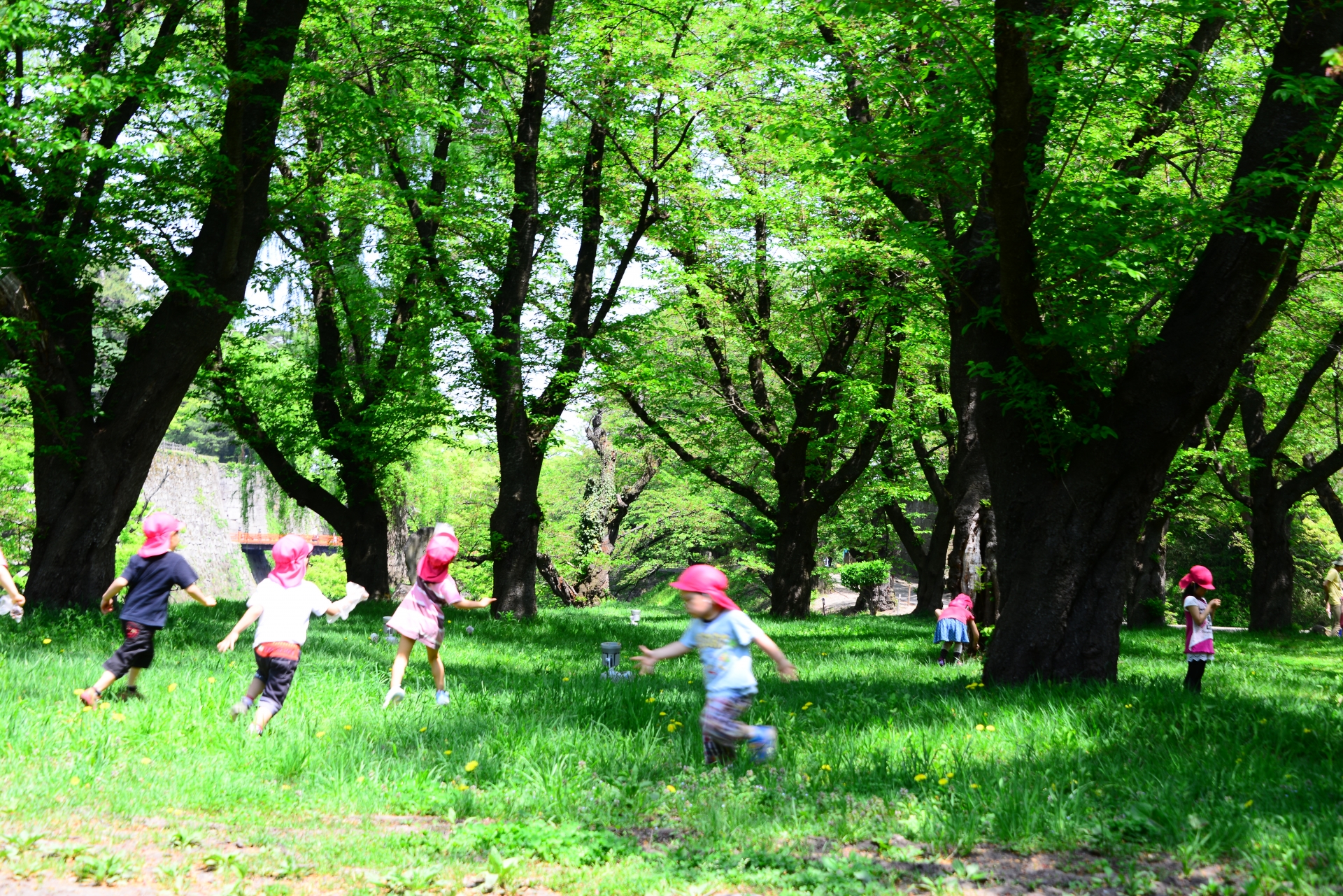 子どもは元気が一番！